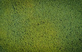 Photo Duurzame Elegance: Groene Innovaties voor een Stijlvol Interieur