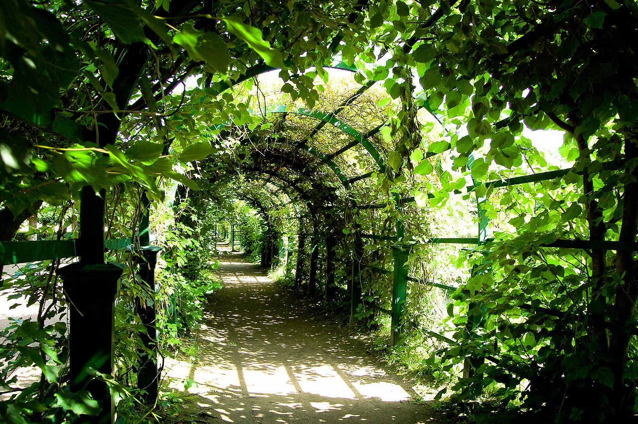 Een rustige geheime tuin verborgen achter stadsmuren.