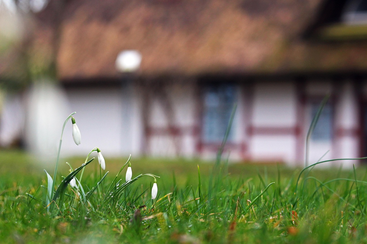 Rustieke zithoek omringd door groen. Rustieke zithoek omringd door groen.