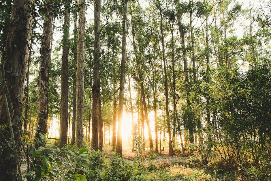 Kinderen ontdekken biodiversiteit in tiny forest.