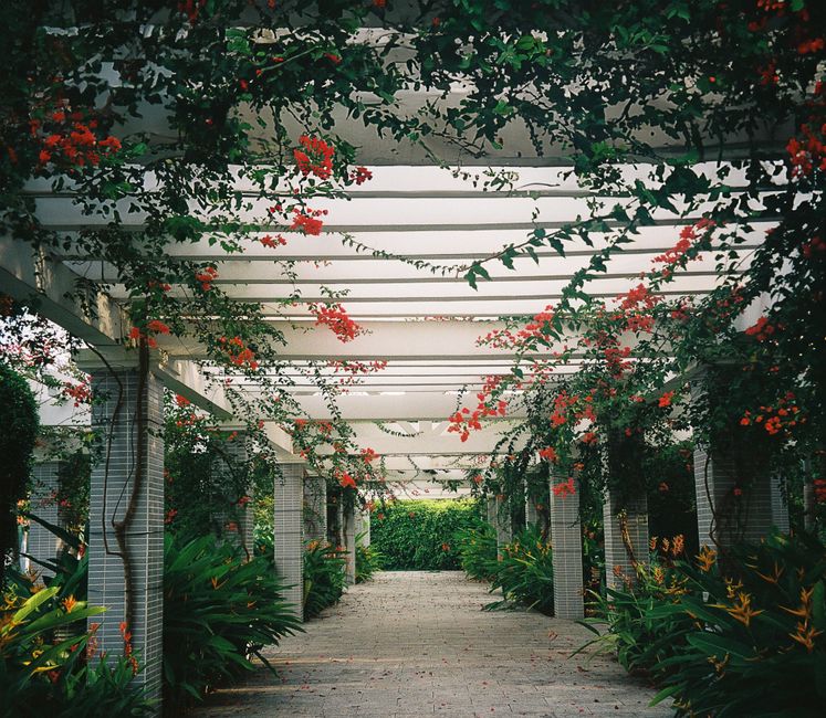 Gezellige zithoek onder schaduwrijke pergola.
