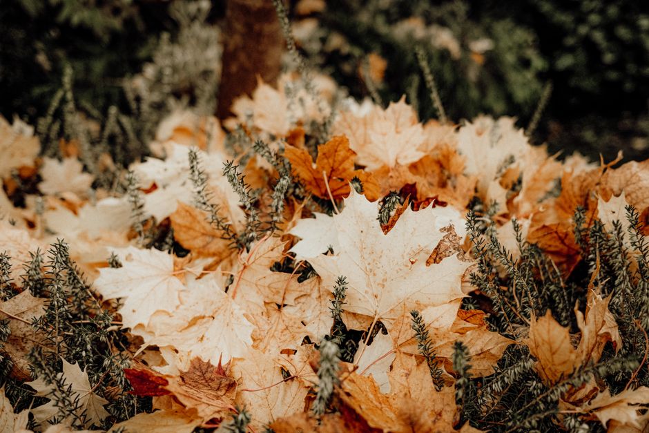 Textiele herfstdecoraties met warme herfstkleuren. Textiele herfstdecoraties met warme herfstkleuren.